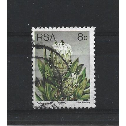 SouthAfrica.SG421 8c Protea Mundii.Fine Used.Sep25o