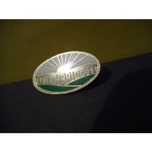 Lethbridge Alberta Canada Lapel Pin