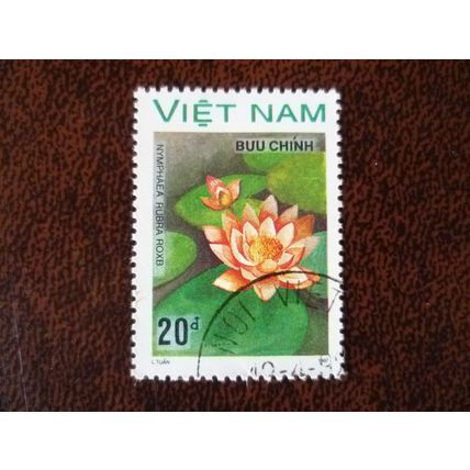 Vietnam 1987 Water Lilies 20dl Nymphaea Rubra used stamp SG1061 nature flowers