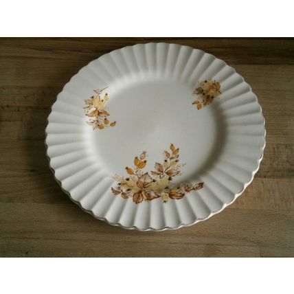 J & G Meakin Classic Ironstone Rosehip Dinner Plate