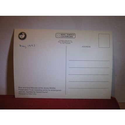 MACAWS, JERSEY ZOO, CHANNEL ISLES unused postcard dated 1993 wildlife trust =