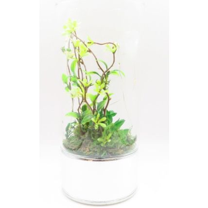 Terrarium with Faux Plants Tube LED Lights Glass LED 20 CM Gift Home Decor