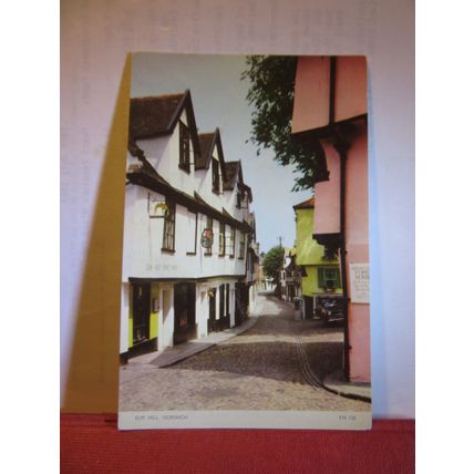 ELM HILL, NORWICH, NORFOLK. unused vintage postcard by Jarrold =
