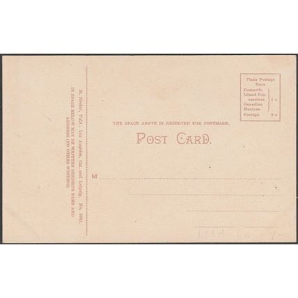 23 Foot High Poinsettia in California, c.1905 - Rieder Postcard