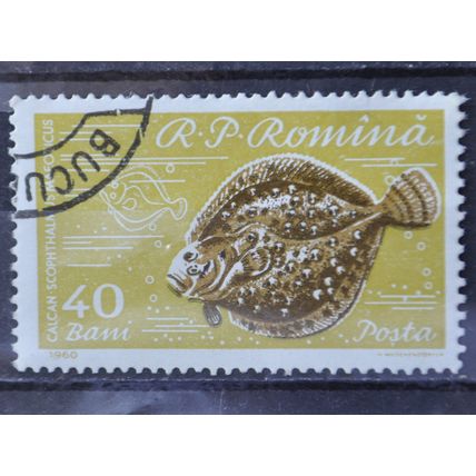 ROMANIA 1960 SG 2798 USED