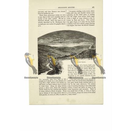 Doone Valley, Somerset, Book Illustration (Print), 1891