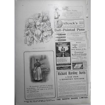 Her Face is her Fortune - Harper's Weekly, January 29, 1898