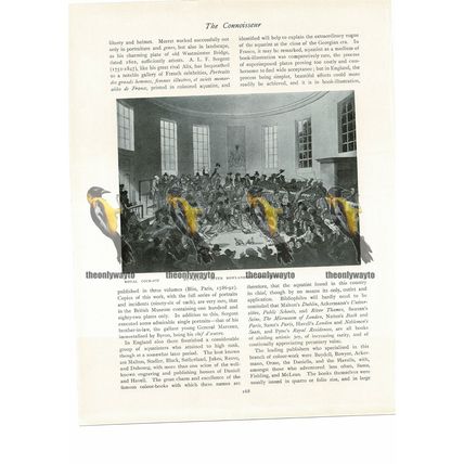 Royal Cock-Pit, Bluck, Book Illustration (Print), 1934