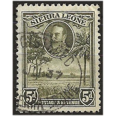 Sierra Leone 1932 SG161 5d Bronze Green Fine Used . ..