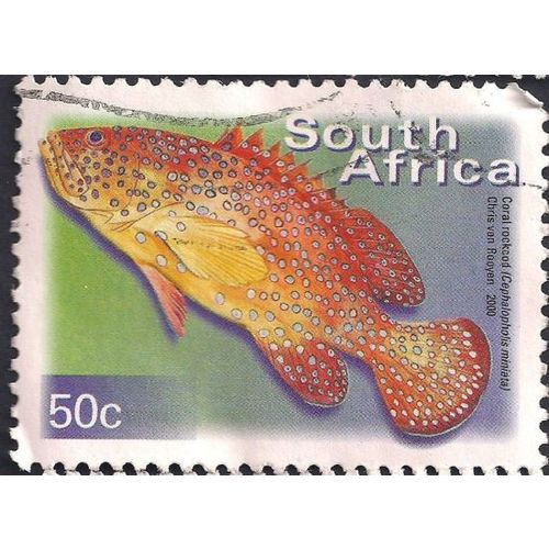SOUTH AFRICA, FISH, Coral rockcod, green violet 2000, 50c, #3