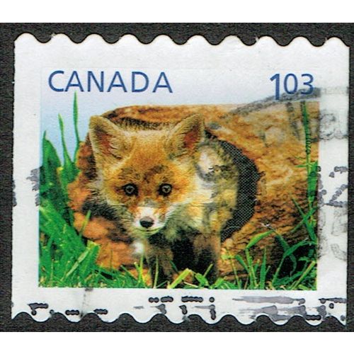 Canada 2011 Young Wildlife $1.03c Multicoloured SG2707 FU
