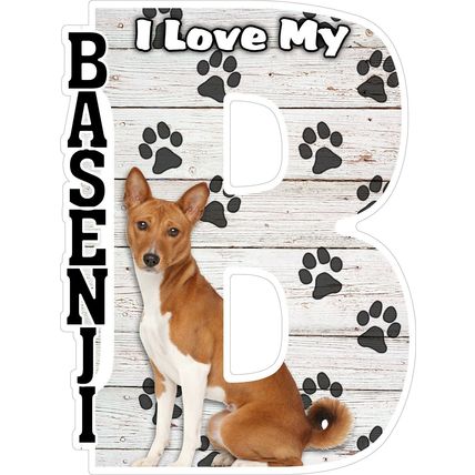 I Love My Basenji Fridge Magnet