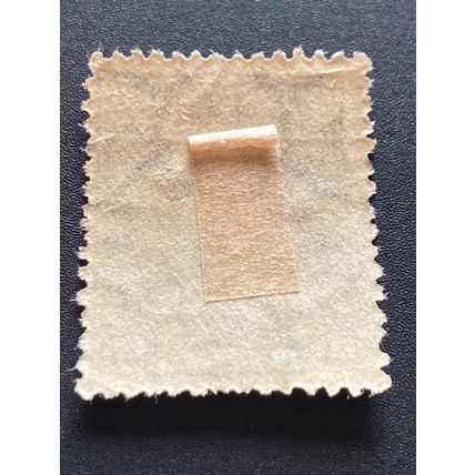 Briefmarke Argentinien 20 Centavos 1923 Michel 276 gestempelt
