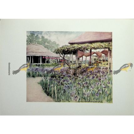 Iris Garden, Japan, Menpes, Book Illustration (Print), 1903