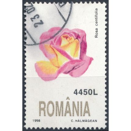 Flowers: 4450L - Romania 1998 - F H - MiNr 5351