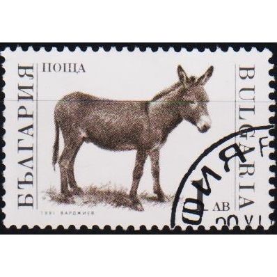 Bulgaria. 1991 1L S.G.3735 Used