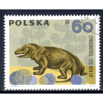 POLAND 1966, Prehistoric Animals - Cynognathus, 60 G, CTO