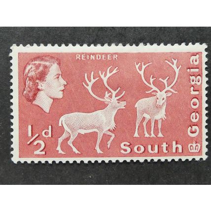 SOUTH GEORGIA 1963 Definitive 1/2d SG1 Unmounted Mint