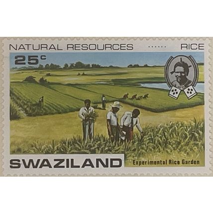 Swaziland QEII 1973 Natural Resources 25c Rice Mounted Mint MM SG 203 stamp