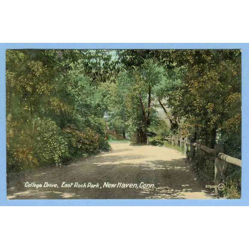 CT New Haven College Drive East Rock Park View Of Tree Lined Dirt Road w/W~626