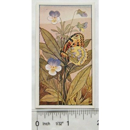 Vintage: Dutch card Jac. P. Thijsse, Lente No. 75 Driekleurig viooltje met Parel