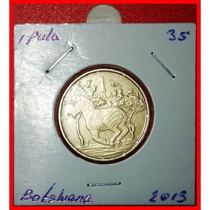 Ⰶ CANADA (2013-2022): BOTSWANA★1 PULA 2013 ZEBRA! IN HOLDER★LOW START★NO RESERVE