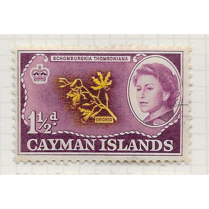 CAYMAN ISLANDS 1959 QE2 ORCHID FLOWER USED SG167 167 SG
