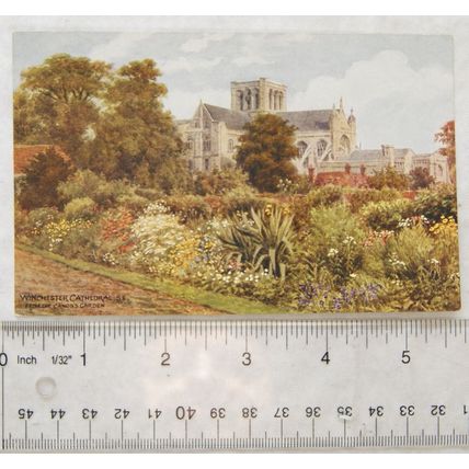 vintage postcard Winchester Cathedral fromThe Canons Garden