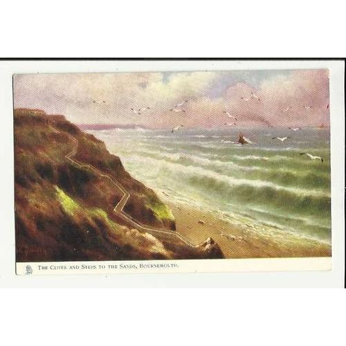 1489 BOURNEMOUTH Cliffs Rough Sea Tuck Oilette Postcard