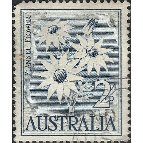 AUSTRALIA, FLOWER, Flannel Flower, blue 1959, 2/-, #2