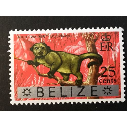 Belize 1973 25c Kinkajou Unmounted Mint NHM SG 355 Sc 320 stamp night walker