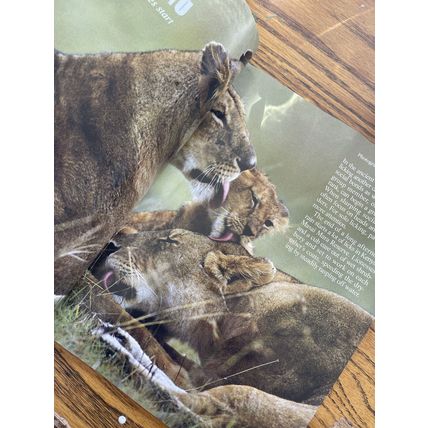 International Wildlife National Federation March April 1994 Magazine Rare Frog