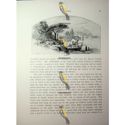 Brando, Corsica, France, Book Illustration (Print), 1890