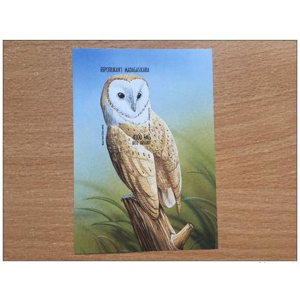 Madagascar 1999 Mi. Bl. 288 Faune Bird Ardea Tyto Alba Oiseau **MNH IMPERF ND