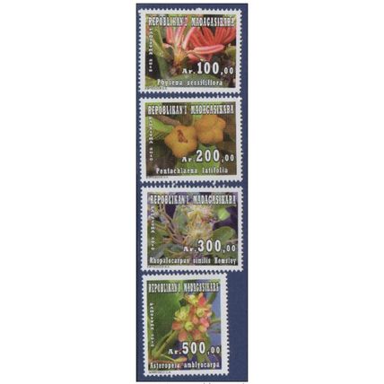 Madagascar 2010 Fleurs Flowers Physena Sessiliflora Asteropeia Amblyocarpa MNH**