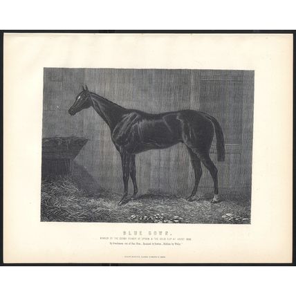 BLUE GOWN 1890 Racehorse Derby Ascot - John Wells VICTORIAN ENGRAVING