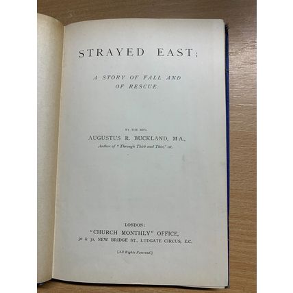 RARE* 1889 REVEREND BUCKLAND STRAYED EAST ILLUSTRATED FICTION ANTIQUE BOOK (P3)