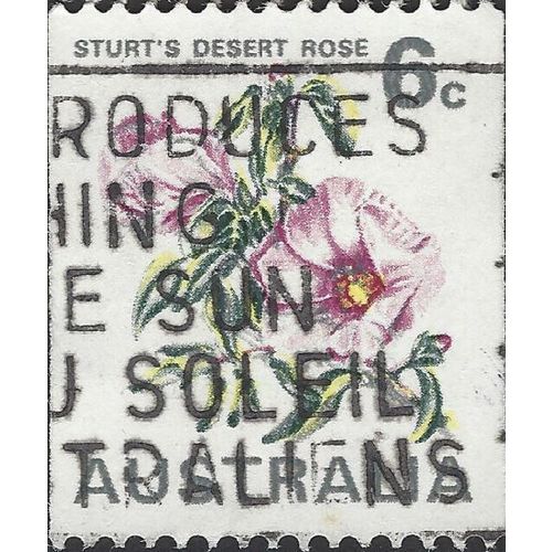 AUSTRALIA, FLOWER, Sturt's Desert Rose, white 1970, 6c, #2