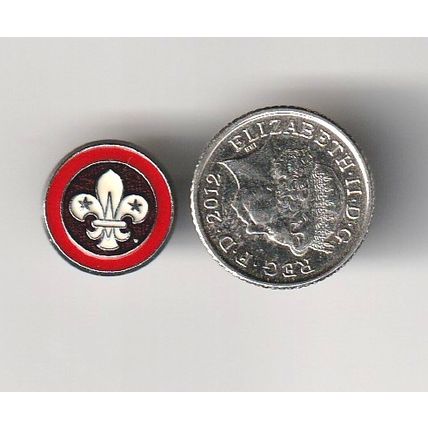 Scout Metal Pin Badge UK - Associate Member - Used (BZ21)