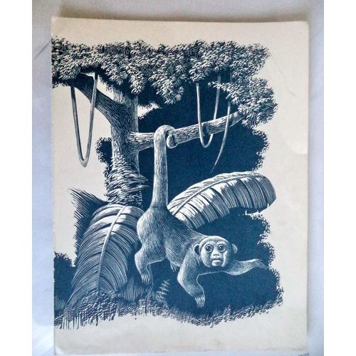 Vintage Leonard Everett Woodcut Print MONKEYS art room decor kids gift frame