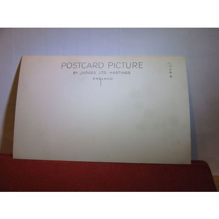 CITY HALL, BELFAST, Co. Antrim, NORTHERN IRELAND unused postcard Judges =