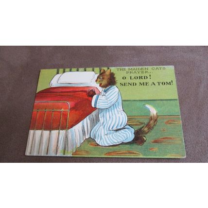 Early Comic / Humour Postcard - Praying Cat - O Lord send me a Tom