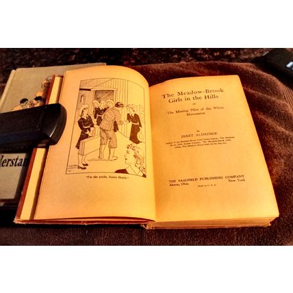 The Meadow Brook Girls In The Hills By Janet Aldridge 1914 Hardcover Great Shape