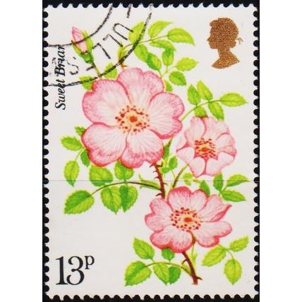 Great Britain. 1976 13p S.G.1009 Used