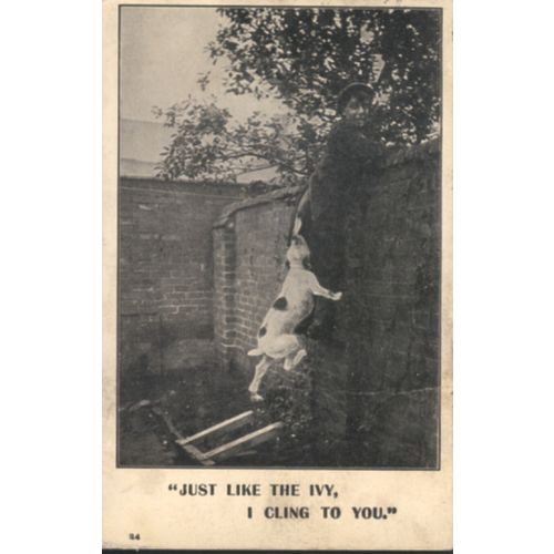 Antique British PC 1906 - Just Like Ivy I Cling To You