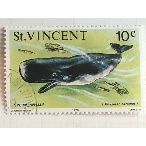 St Vincent 1975 Marine Life 10c Sperm Whale Used SG 429 Sc 414 postage stamp