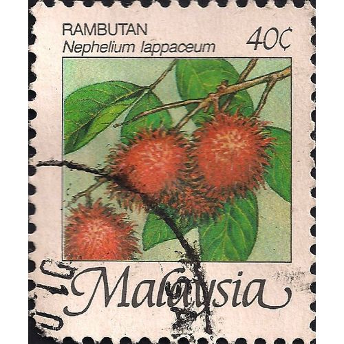 MALAYSIA, PLANTS, Rambutan, 1986, 40c
