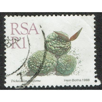 South Africa 1988 Succulents 1r Multicoloured SG667 FU