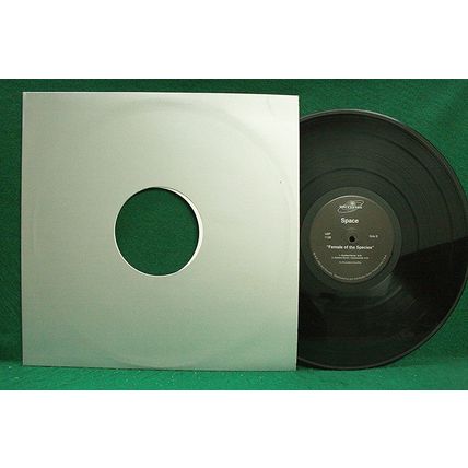 Space - Female Of The Species - 12” Single - U8P 1139 - NM
