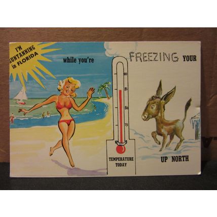 American humour, unused vintage USA postcard by John Hinde FLORIDA WEATHER =